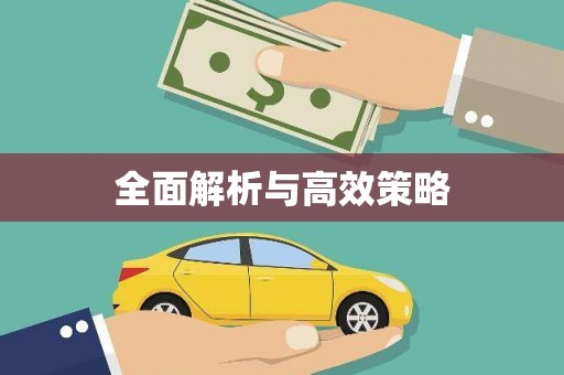 万全全面解析与高效策略