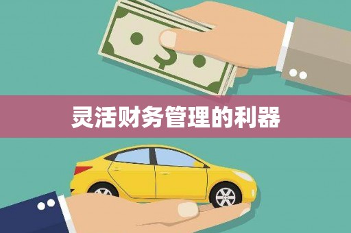 万全灵活财务管理的利器