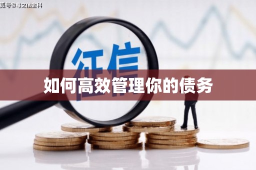 万全如何高效管理你的债务