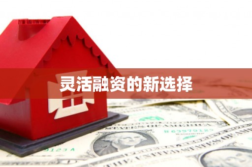 万全灵活融资的新选择