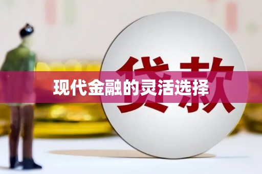 万全现代金融的灵活选择