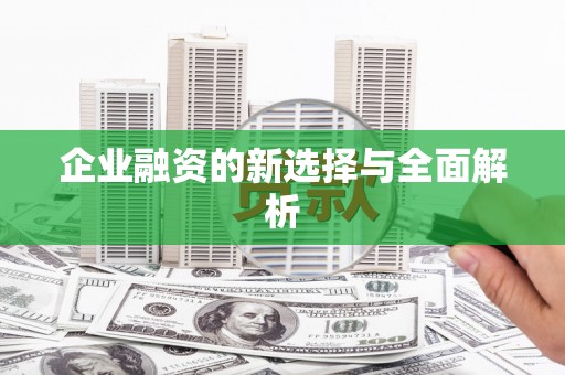 万全企业融资的新选择与全面解析