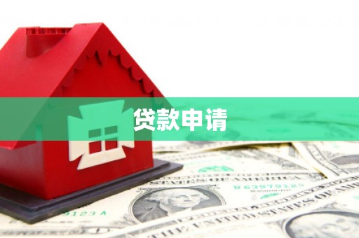 万全贷款申请