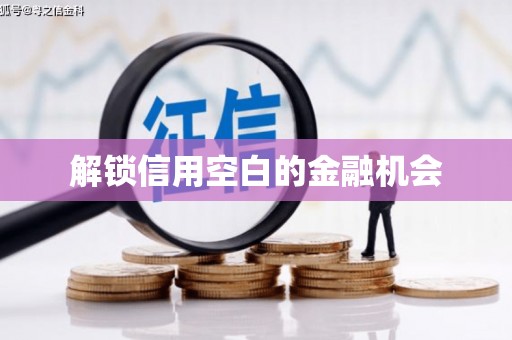万全解锁信用空白的金融机会