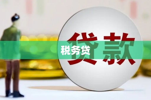 万全税务贷