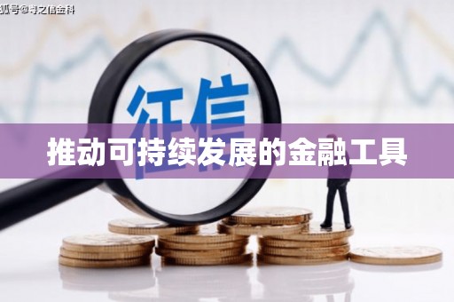 万全推动可持续发展的金融工具