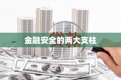 万全金融安全的两大支柱