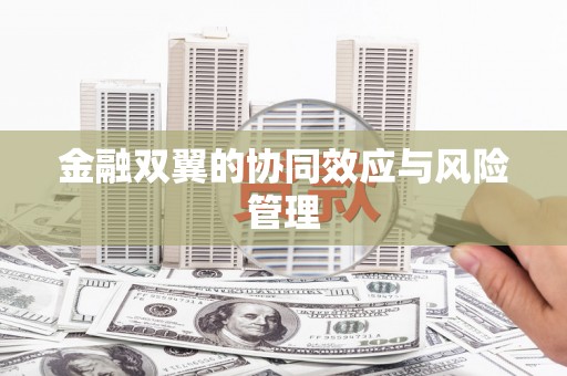 万全金融双翼的协同效应与风险管理