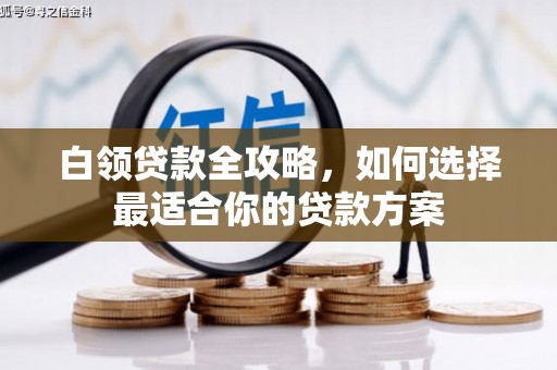万全白领贷款全攻略，如何选择最适合你的贷款方案