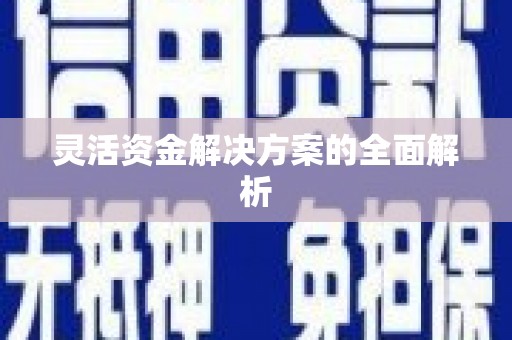 万全灵活资金解决方案的全面解析