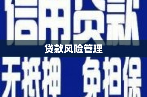万全贷款风险管理