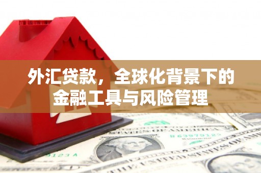 万全外汇贷款，全球化背景下的金融工具与风险管理
