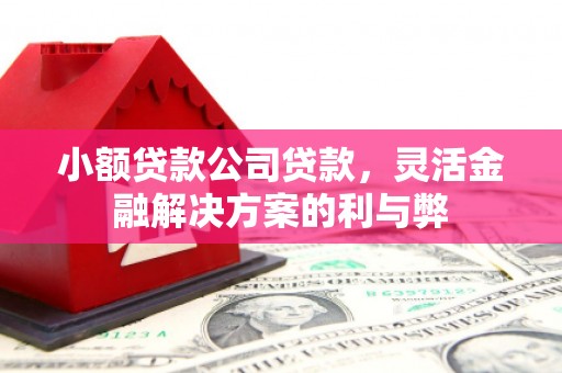 万全小额贷款公司贷款，灵活金融解决方案的利与弊