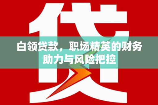 万全白领贷款，职场精英的财务助力与风险把控