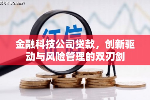 万全金融科技公司贷款，创新驱动与风险管理的双刃剑